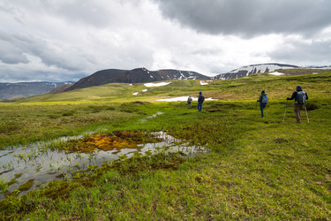 Similar image 22299071