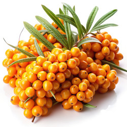 Similar image 22299711