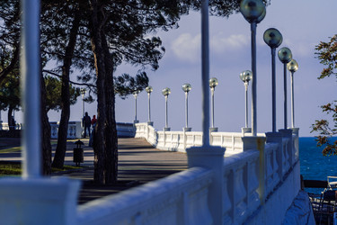 Similar image 22295487