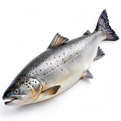 Similar image 22299730