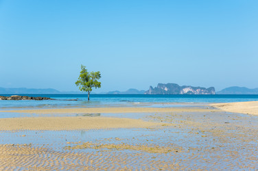 Similar image 22298203