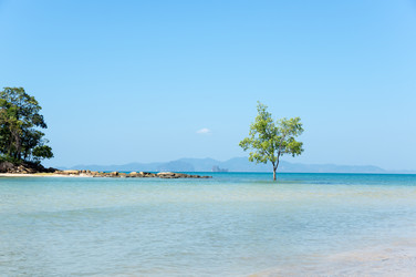 Similar image 22298205