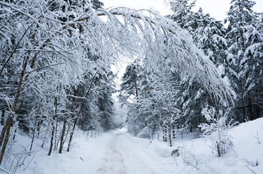 Similar image 22298218