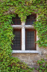 Similar image 22298229