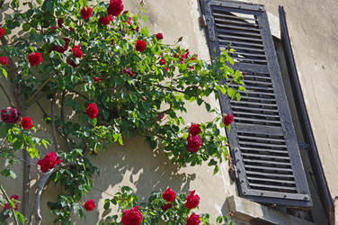 Similar image 22298232