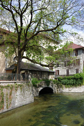 Similar image 22298234