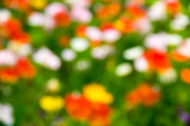 Similar image 22298414