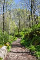 Similar image 22298416