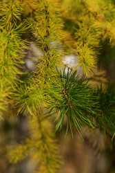 Similar image 22294132