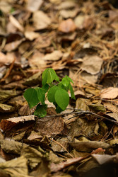 Similar image 22294134