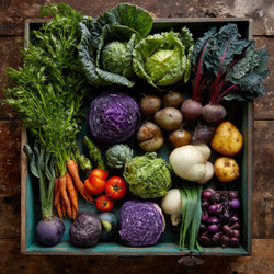 Similar image 22297444