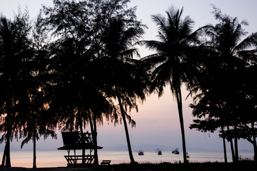 Similar image 22299229