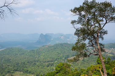 Similar image 22299230