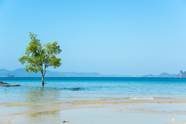 Similar image 22299238