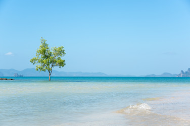 Similar image 22299240