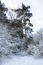 Similar image 22299250