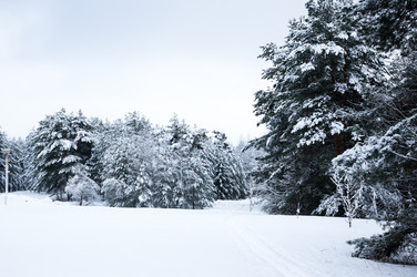 Similar image 22299420