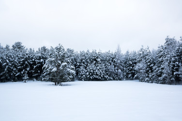 Similar image 22299421