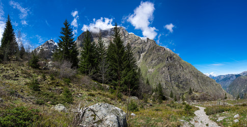 Similar image 22299441