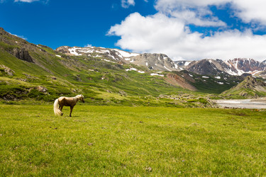 Similar image 22298892