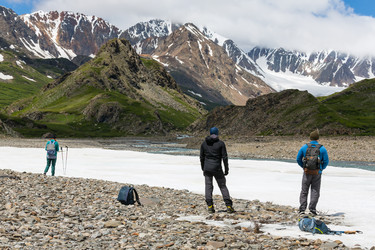 Similar image 22298899