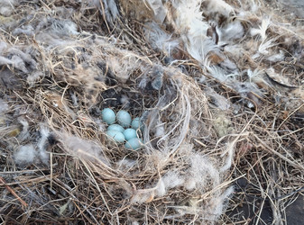 Similar image 22301065