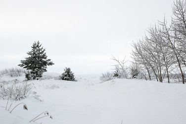 Similar image 22299262