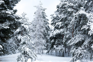 Similar image 22299263