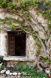 Similar image 22299277