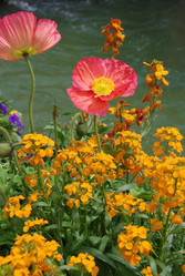 Similar image 22299284