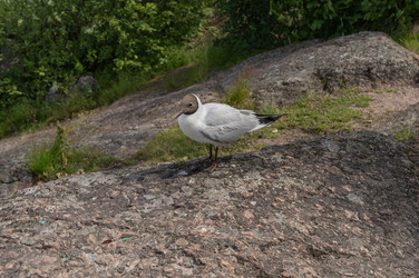 Similar image 22300958