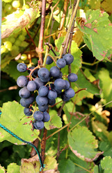 Similar image 22316313