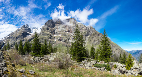 Similar image 22299449