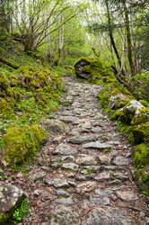 Similar image 22299454