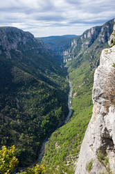 Similar image 22299456