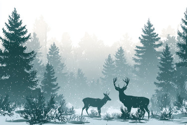 Similar image 22297862