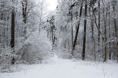 Similar image 22298625