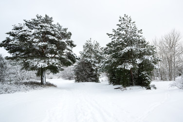 Similar image 22298626