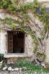 Similar image 22298632