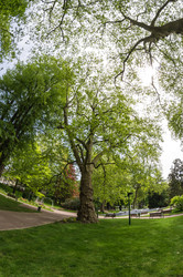 Similar image 22298637