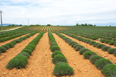 Similar image 22298656