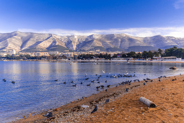 Similar image 22295244