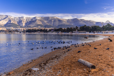 Similar image 22295275