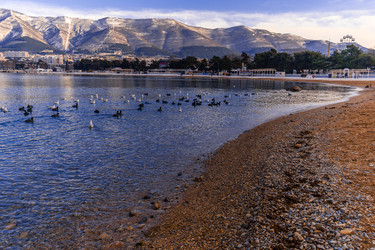 Similar image 22295277