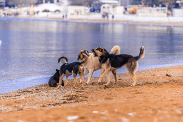 Similar image 22295515