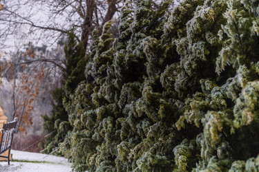 Similar image 22295516