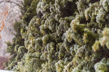 Similar image 22295517