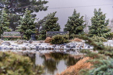 Similar image 22295518