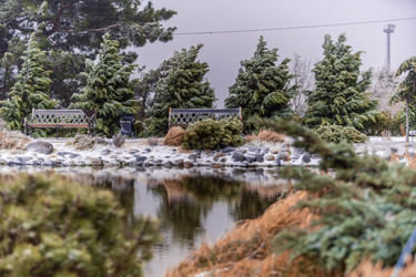 Similar image 22295519