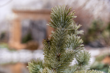 Similar image 22295521